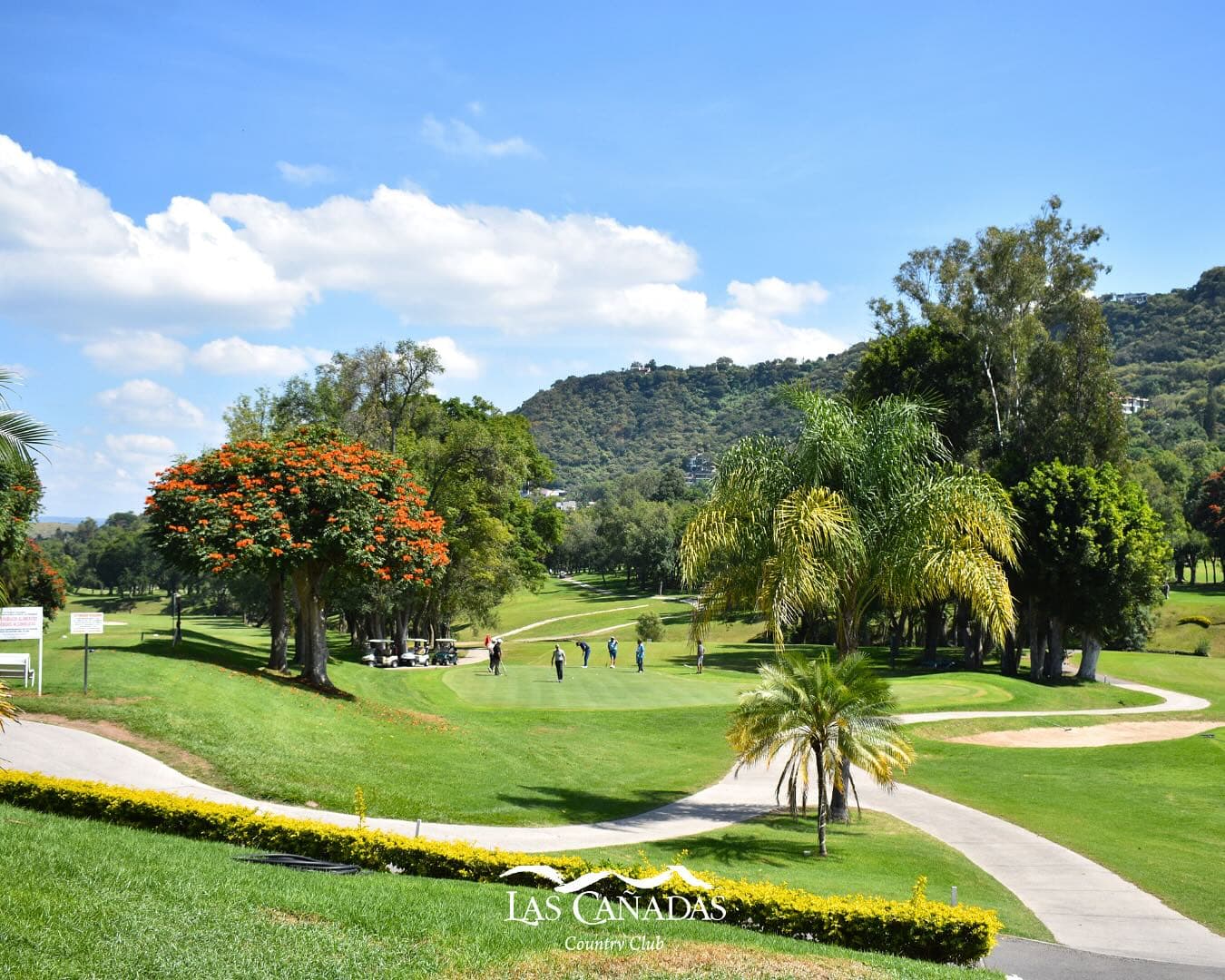 Campo de golf Las Cañadas